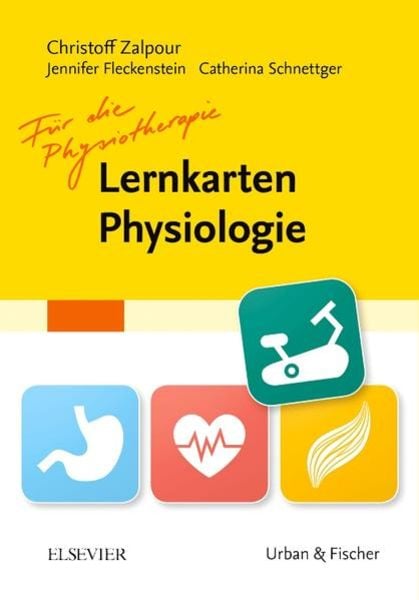 Lernkarten Physiologie für die Physiotherapie