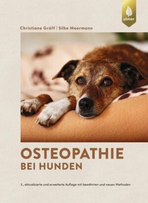 Osteopathie bei Hunden