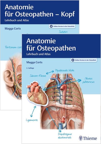 Set Anatomie für Osteopathen