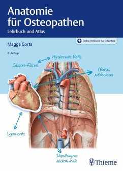 Anatomie für Osteopathen (eBook, PDF)