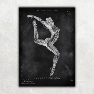 Animus Medicus Turnen Anatomie Poster II – Chalkboard – A1