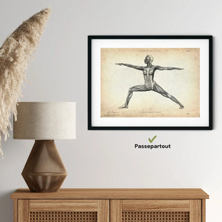 Animus Medicus Yoga Anatomie Poster – A1