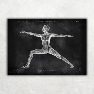 Animus Medicus Yoga Anatomie Poster – Chalkboard – A1