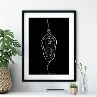 Animus Medicus Vulva Anatomie Minimalist Dark – A1