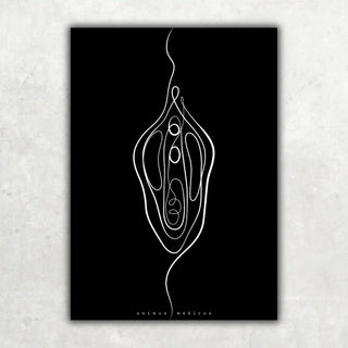 Animus Medicus Vulva Anatomie Minimalist Dark – A1