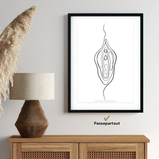 Animus Medicus Vulva Anatomie Minimalist – A1