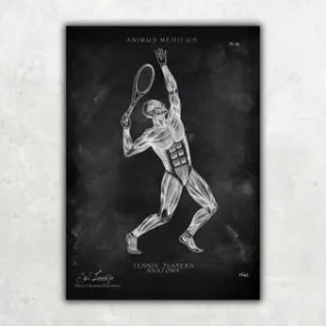 Animus Medicus Tennis Anatomie Poster – Chalkboard – A1