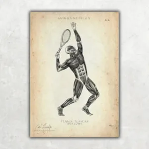 Animus Medicus Tennis Anatomie Poster – A1