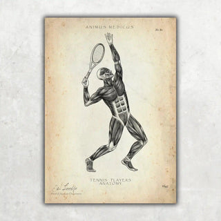 Tennis Anatomie Poster - A1 Animus Medicus