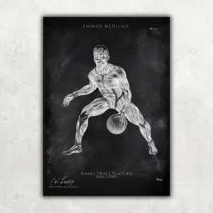 Animus Medicus Basketball Anatomie Poster – Chalkboard – A1