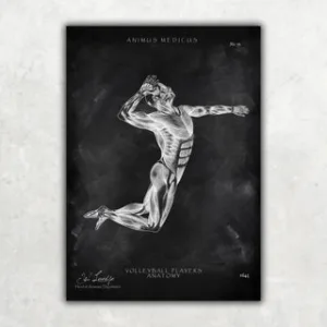 Animus Medicus Volleyball Anatomie Poster – Chalkboard – A1