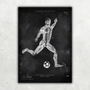 Animus Medicus Fußball Anatomie Poster – Chalkboard – A4