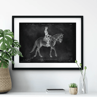 Animus Medicus Reiten Anatomie Poster – Chalkboard – A1