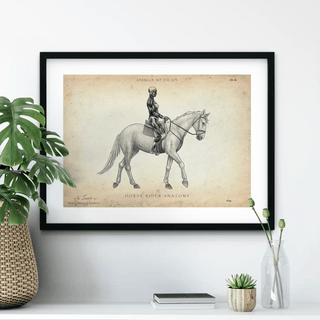 Animus Medicus Reiten Anatomie Poster – A1