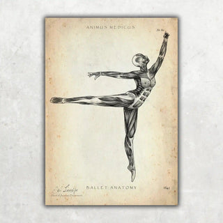 Animus Medicus Ballett Anatomie Poster – A1