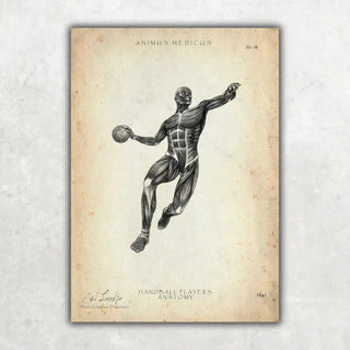 Animus Medicus Handball Anatomie Poster – A1