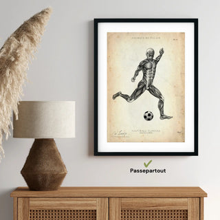 Animus Medicus Fußball Anatomie Poster – A1