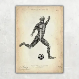 Animus Medicus Fußball Anatomie Poster – A1