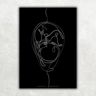 Animus Medicus Fetus Anatomie Minimalist Dark – A1