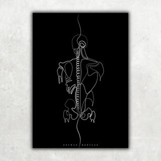 Animus Medicus Rücken Anatomie Minimalist Dark – A1