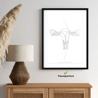 Animus Medicus Uterus Anatomie Minimalist – A1