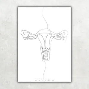 Animus Medicus Uterus Anatomie Minimalist – A2