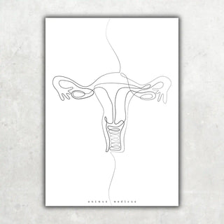 Animus Medicus Uterus Anatomie Minimalist – A1