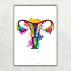 Animus Medicus Uterus Anatomie – Rainbow – A1