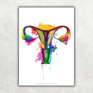 Animus Medicus Uterus Anatomie – Rainbow – A1